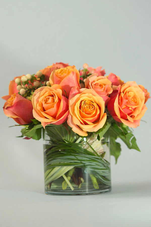 Autumn Collection 2024 Allan Woods Flowers