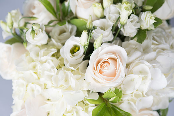 I Love White