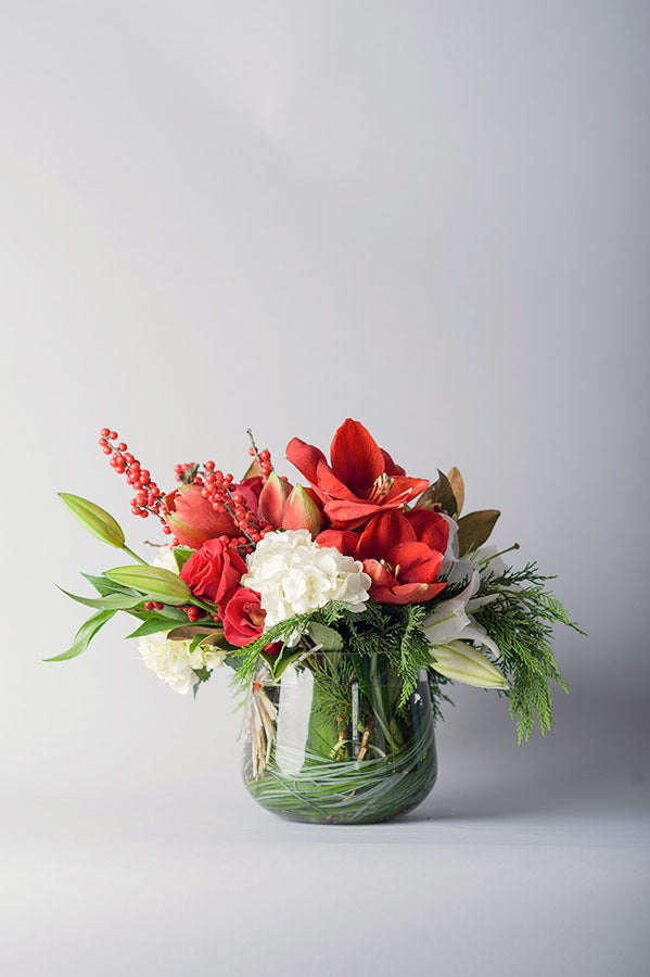 A Winter's Collection