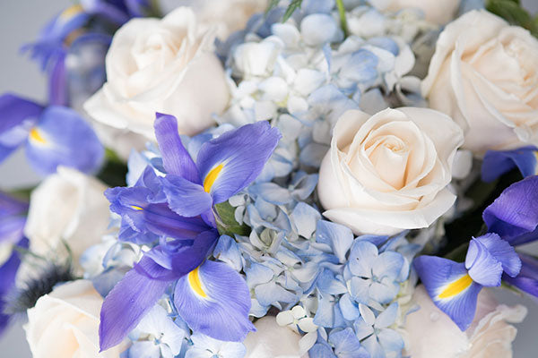 Azure Blue