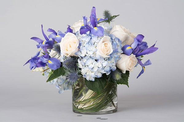Azure Blue – Allan Woods Flowers