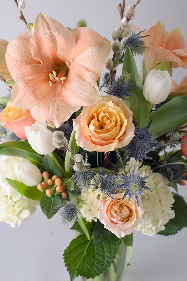 Branches and Blooms
