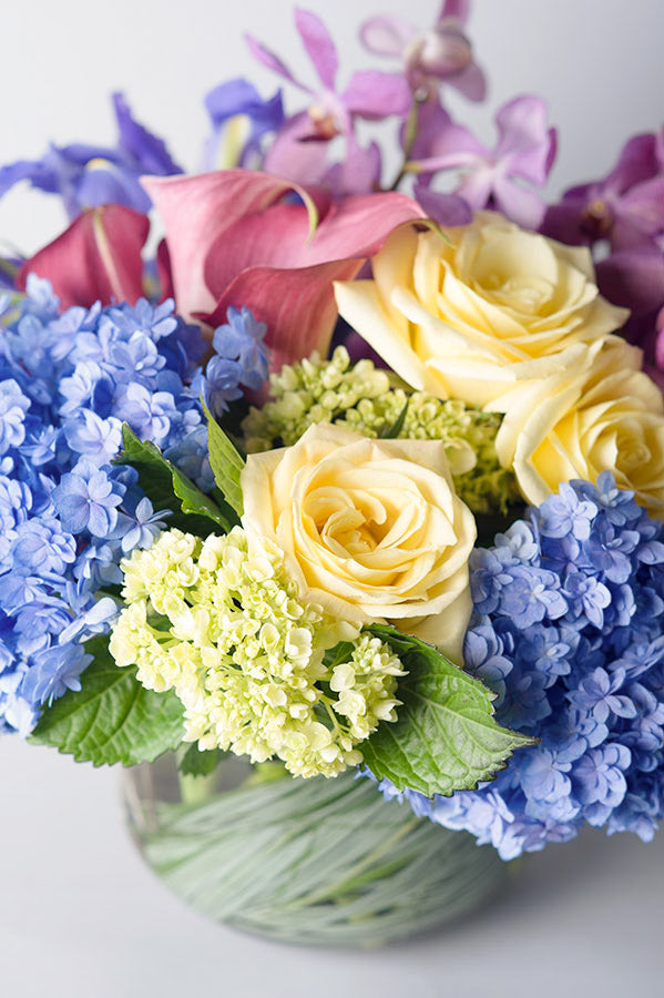 Hydrangea Color Bowl