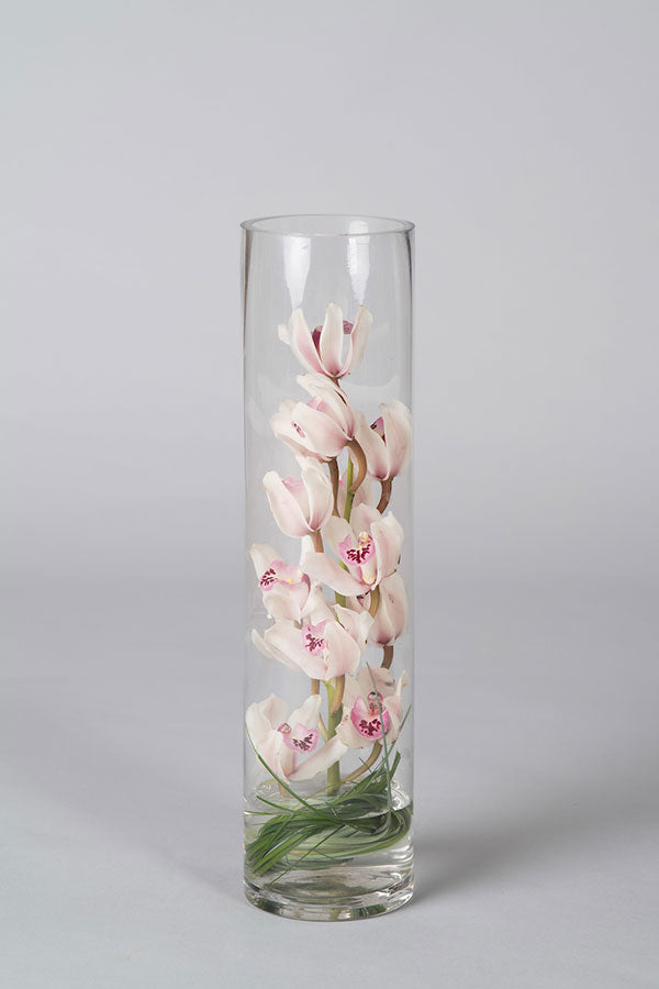 Cymbidium Cylinder