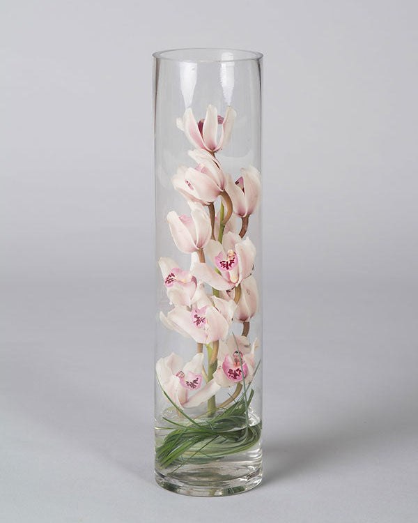Cymbidium Cylinder
