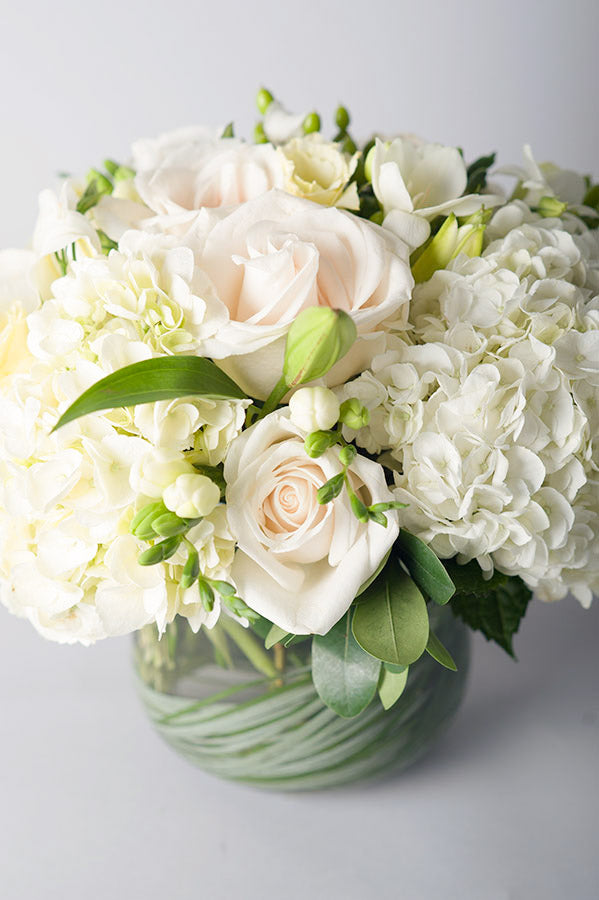 Signature White