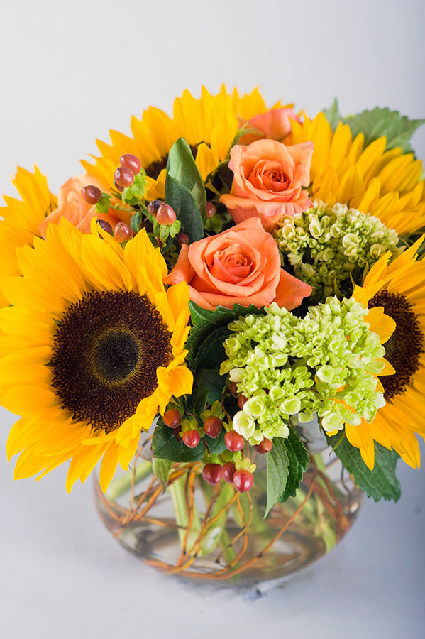 Autumn Sunflowers