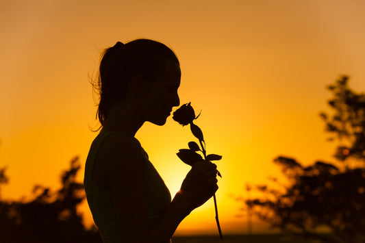 Silhouette of woman holding and smelling a rose at sunset, romantic floral gesture against golden sky