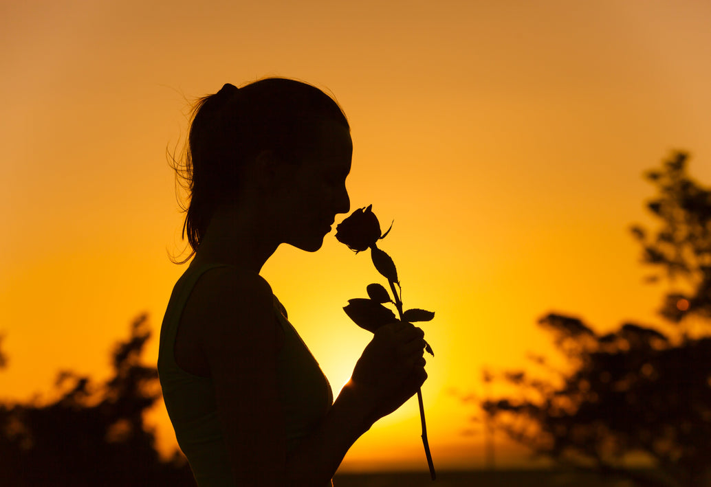 Silhouette of woman holding and smelling a rose at sunset, romantic floral gesture against golden sky