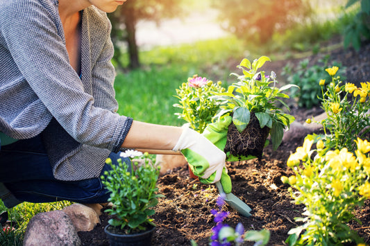 Gardener planting colorful flowers to inspire garden style arrangements by Allan Woods Flowers in Washington DC