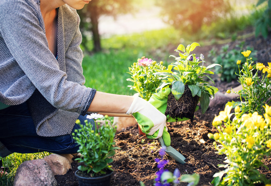 Gardener planting colorful flowers to inspire garden style arrangements by Allan Woods Flowers in Washington DC