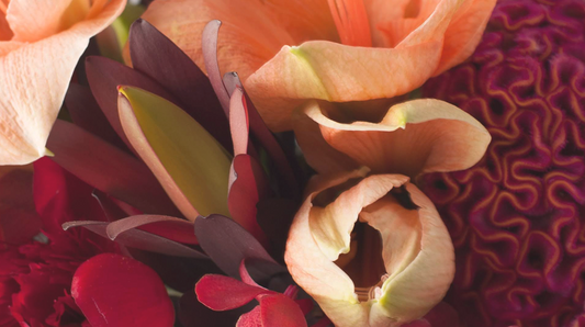 A close-up of vibrant luxury blooms in warm peach, red, and coral tones, artfully arranged by Allan Woods Flowers.