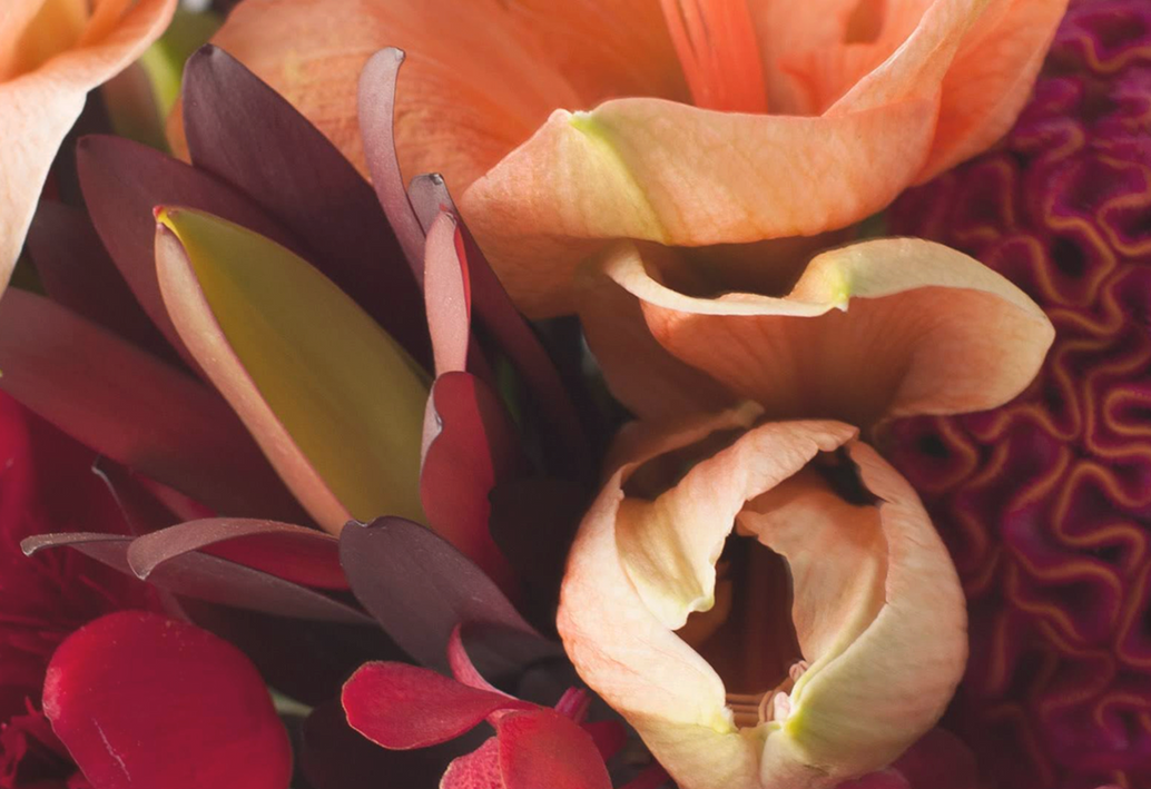 A close-up of vibrant luxury blooms in warm peach, red, and coral tones, artfully arranged by Allan Woods Flowers.