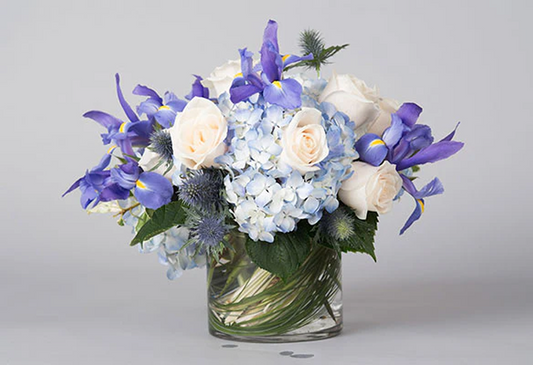 Hydrangea Colors & Their Meanings:  A Bloom-by-Bloom Breakdown