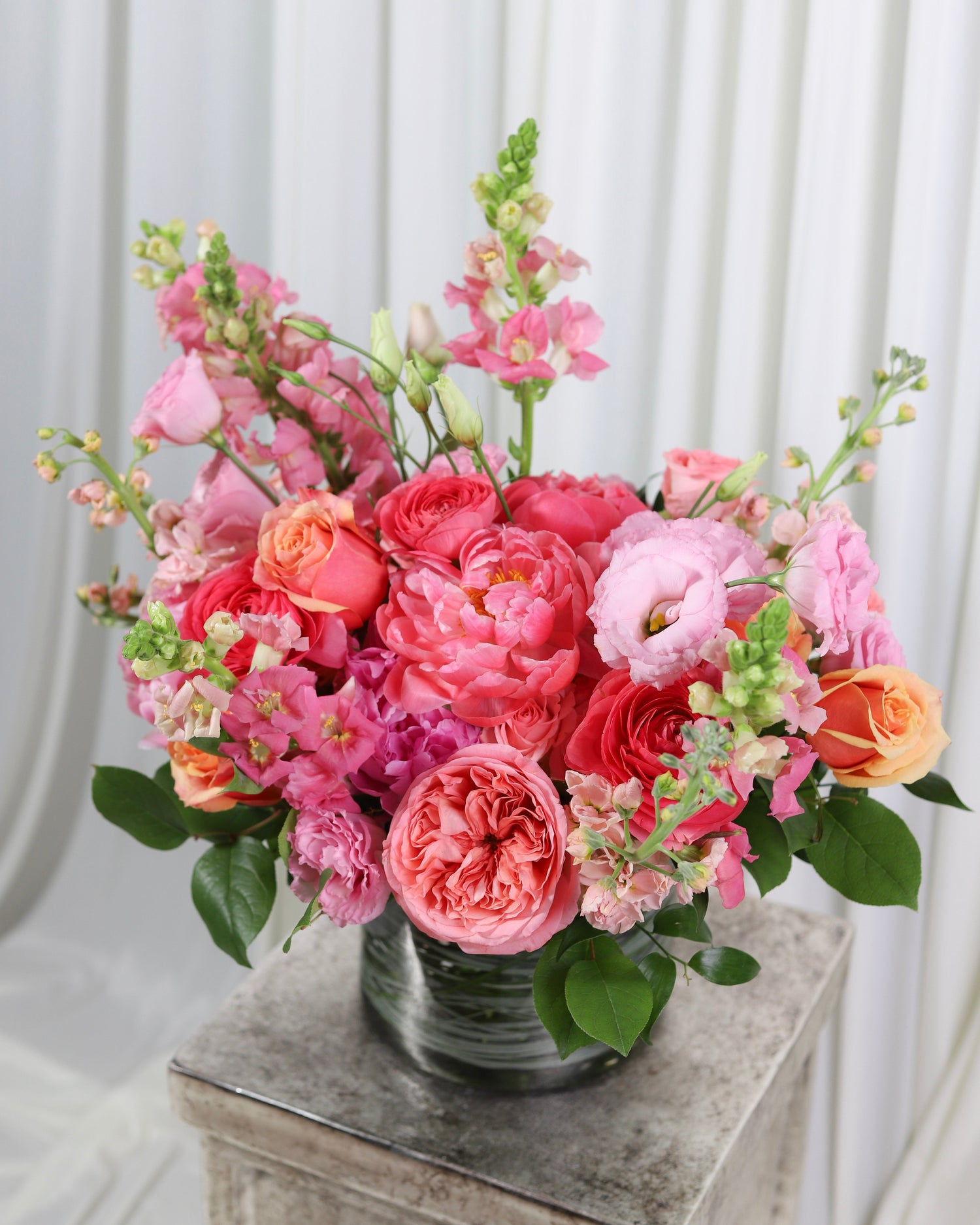 Spring Collection
