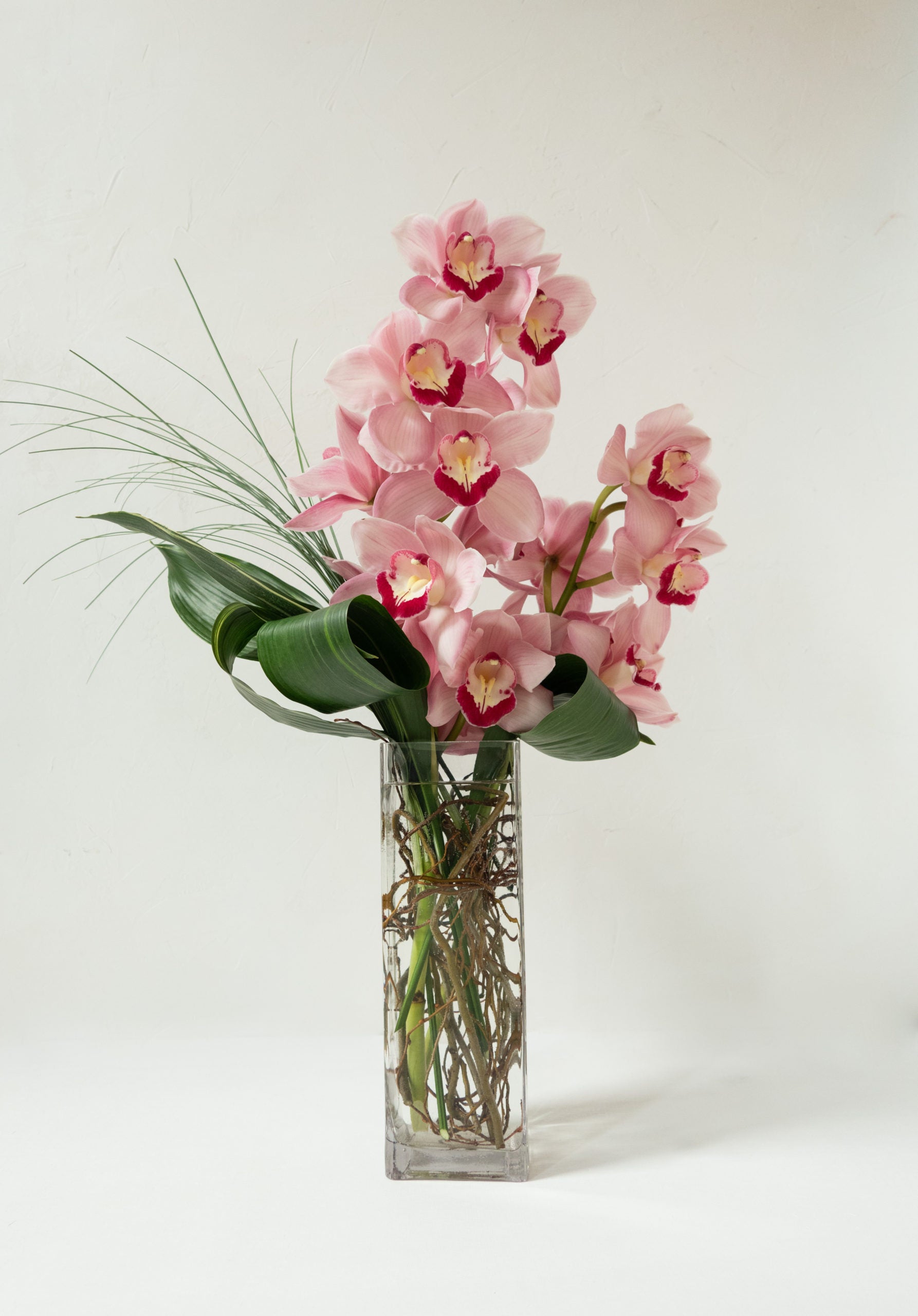 Single Variety Arrangements – Allan Woods Flowers