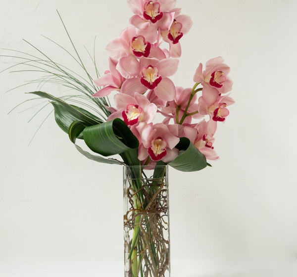 Single Variety Arrangements