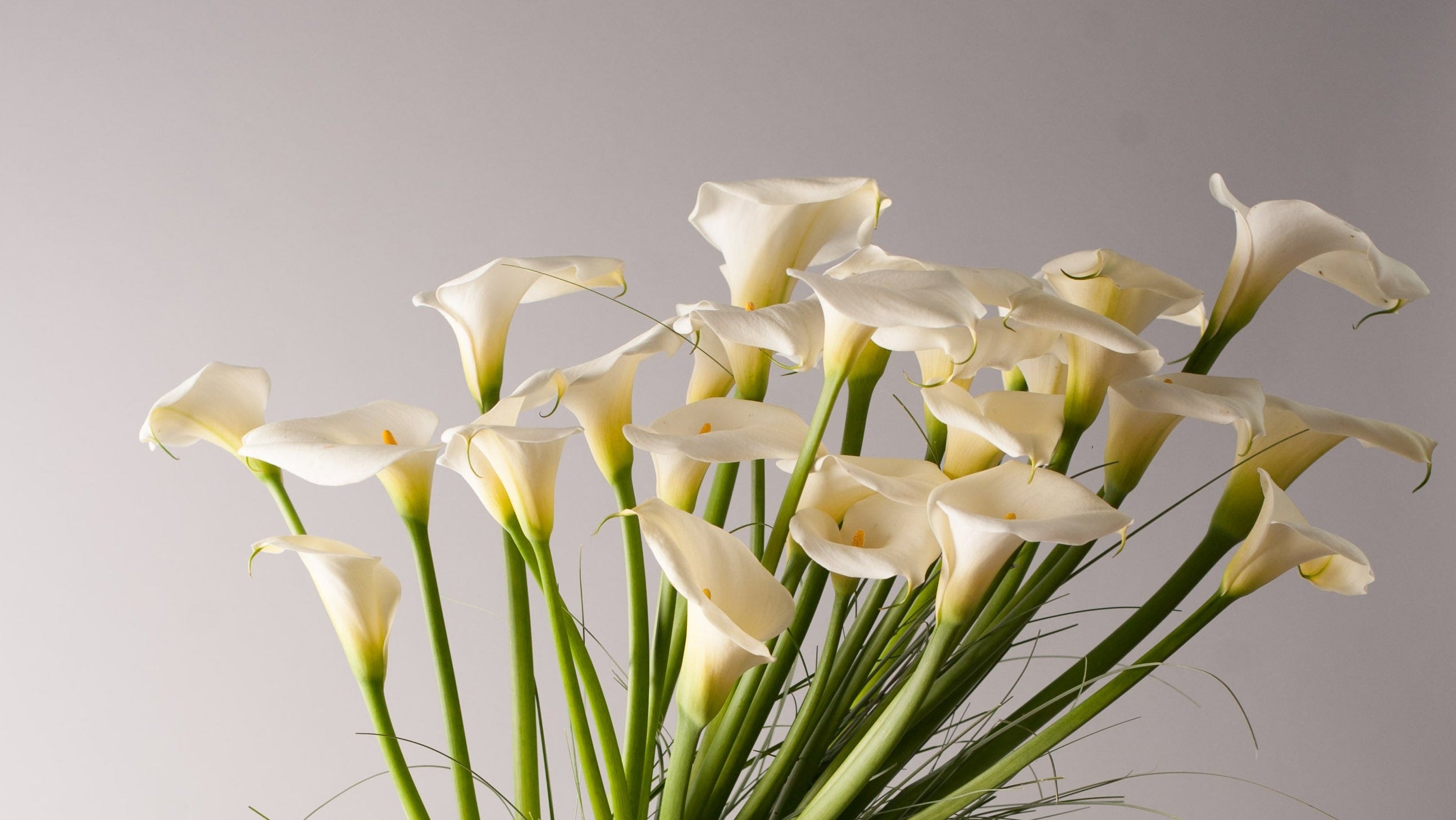 Beautiful flowers arrangement