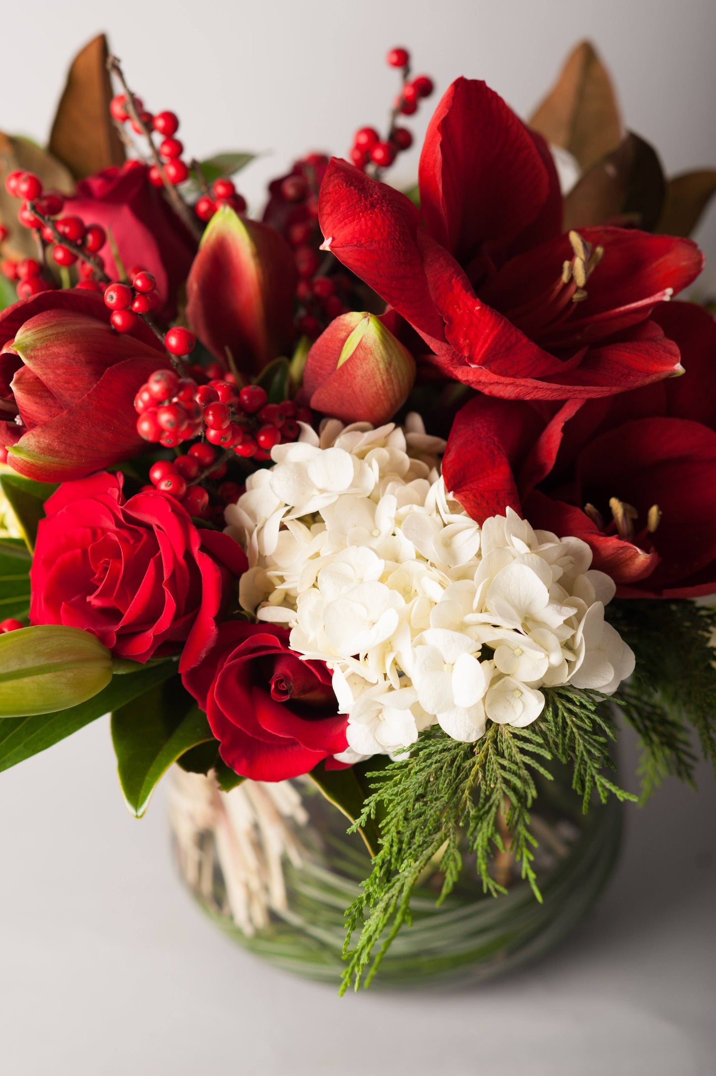 A Winter's Collection