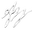 logo of Washington DC Florist Floral Delivery Allan Woods Flowers