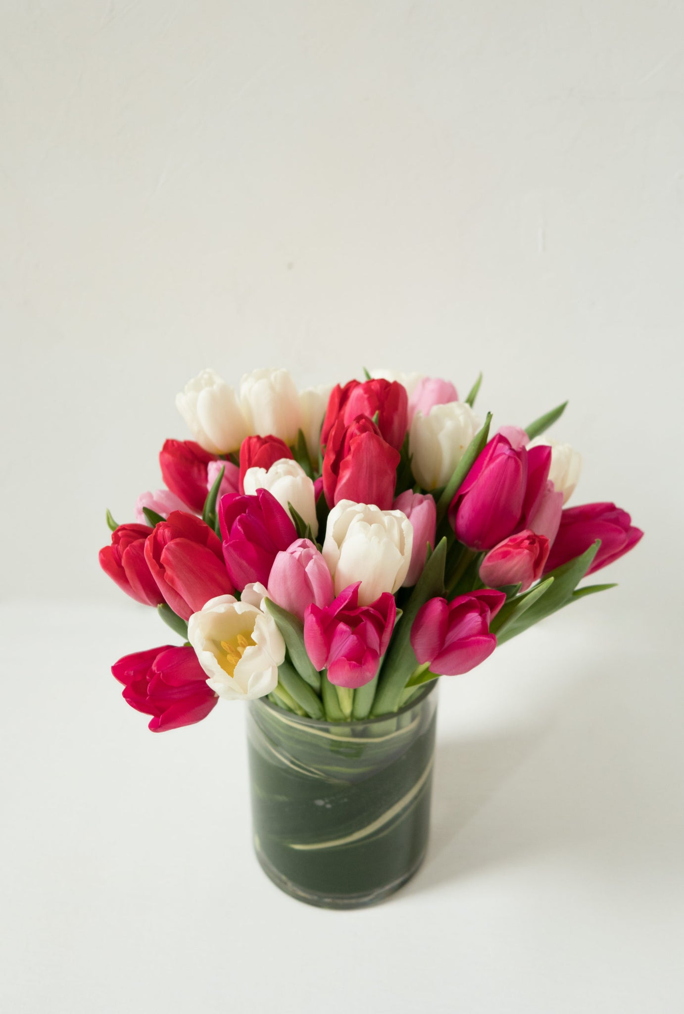 Amorous Tulips