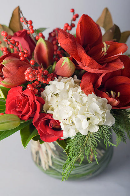 A Winter's Collection