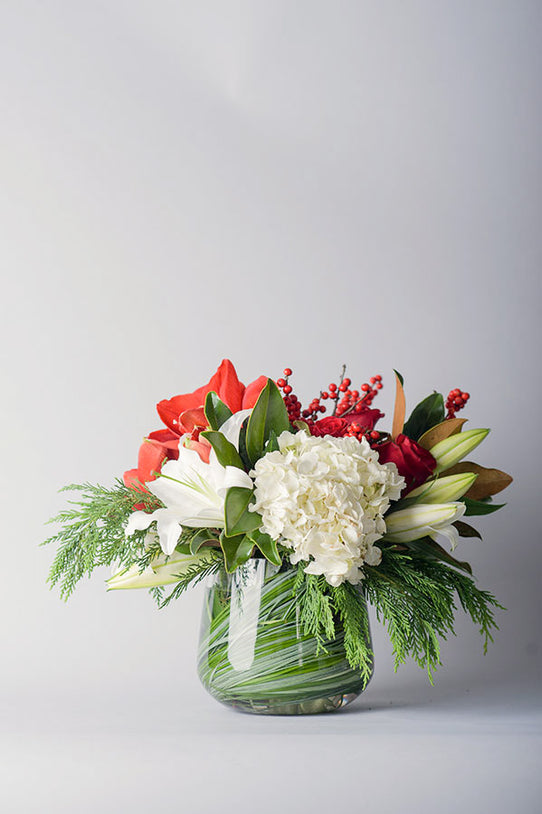 A Winter's Collection