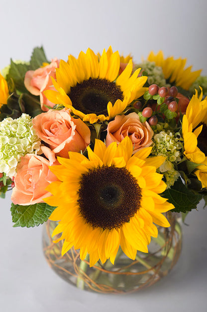 Autumn Sunflowers