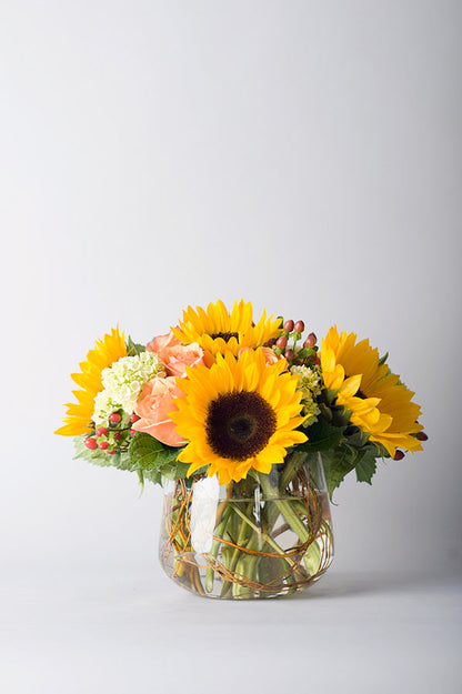 Autumn Sunflowers