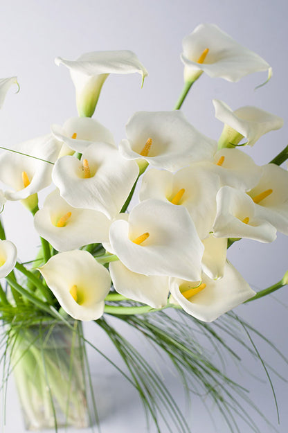Calla Cascade