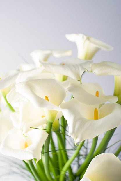 Calla Cascade
