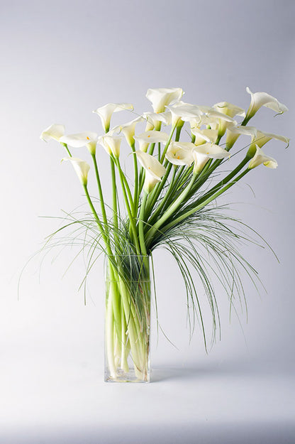 white calla lily vase Calla Cascade – Allan Woods Flowers