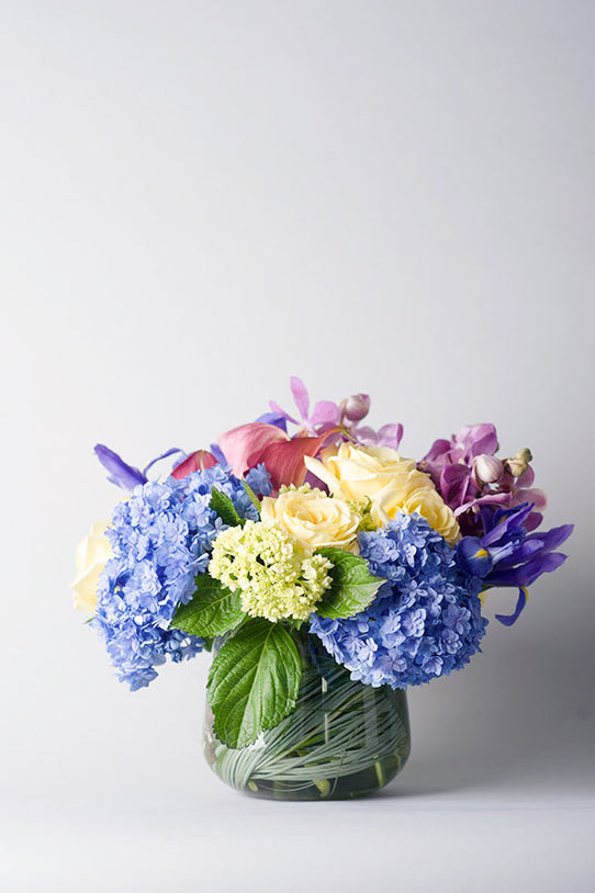Hydrangea Color Bowl