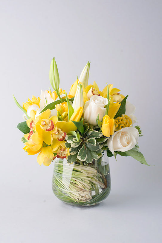 Lush Citron
