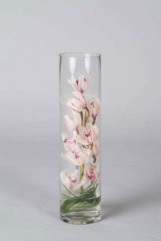Cymbidium Cylinder