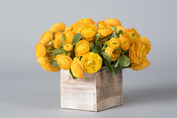 Ranunculus Box