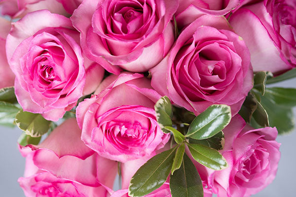 Rose Pave