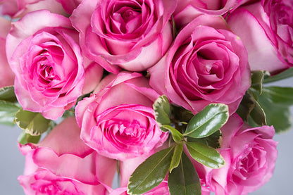 Rose Pave