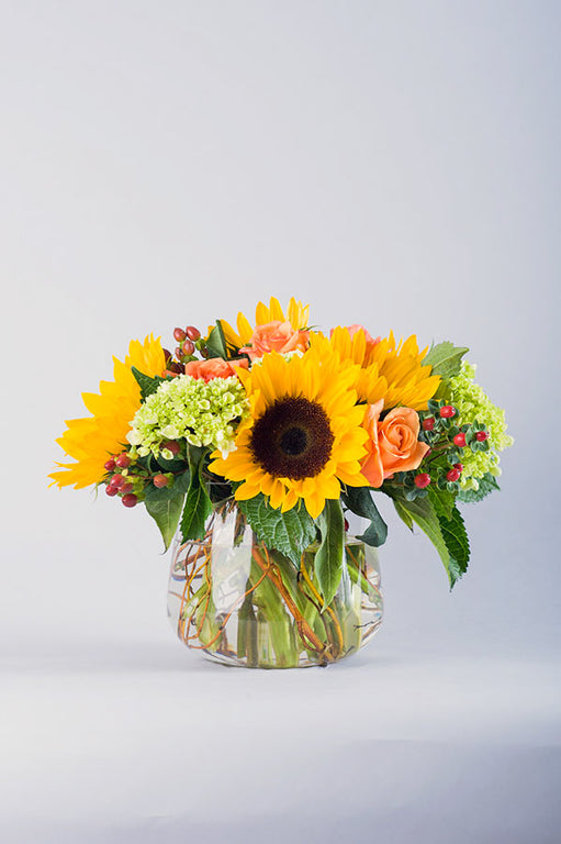 Autumn Sunflowers