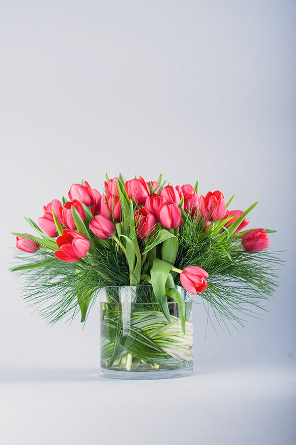 Arctic Ruby Tulips